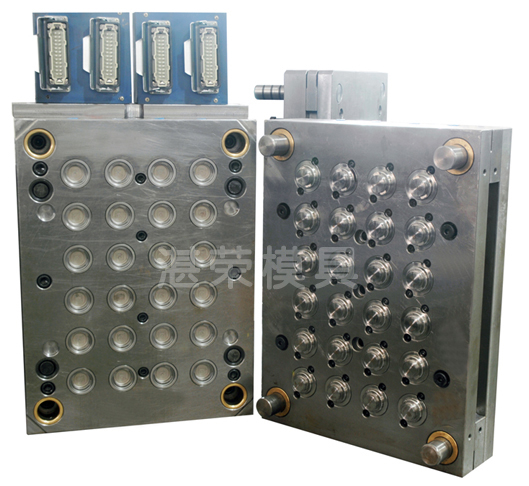 24腔油盖面盖模具